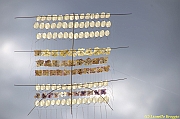 32 FESTIVAL CERVIA 2012 - 299